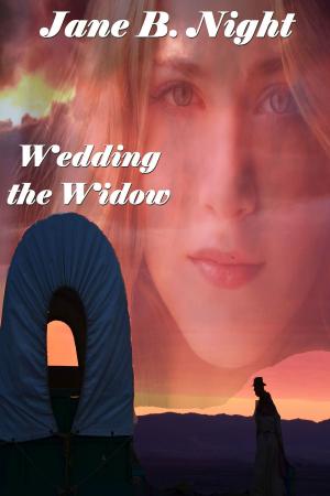 Cover of the book Wedding the Widow by Jane B Night