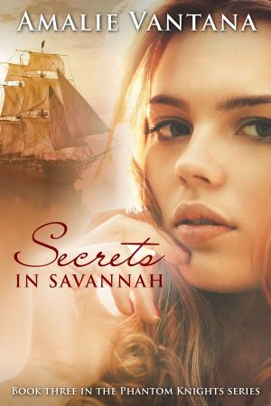 Cover of the book Secrets In Savannah (Phantom Knights Book 3) by Susan May Warren