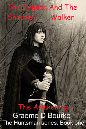 Cover of the book The Orphan and the Shadow Walker: The Awakening by Veronika J. Stevens