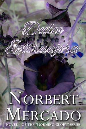 bigCover of the book Dulce Extranjera by 
