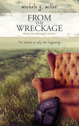 Cover of the book From The Wreckage by Marcia Strykowski