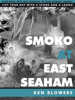 Book cover of Smoko At East Seaham