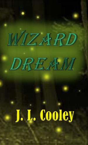 bigCover of the book Wizard Dream by 