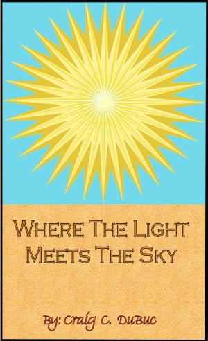 Book cover of Where The Light Meets The Sky