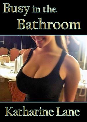 Book cover of Busy in the Bathroom