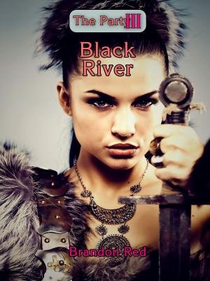 Cover of The Party III: Black River