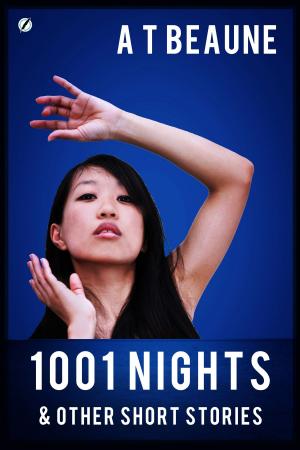 Cover of the book 1001 Nights & Other Short Stories by Nikki Bolvair
