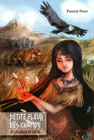 Cover of the book Petite Fleur Des Champs Et La Pierre De Soleil by Patrick Huet
