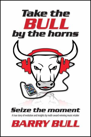 Cover of Take The Bull By The Horns: Seize The Moment