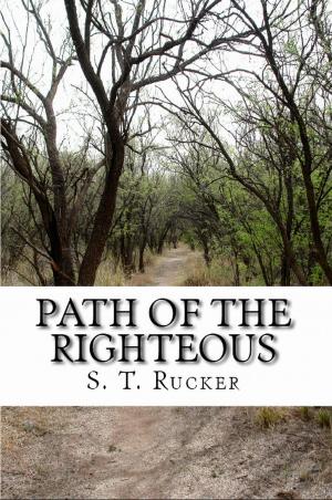 Book cover of Path of the Righteous
