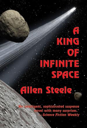 Book cover of A King of Infinite Space
