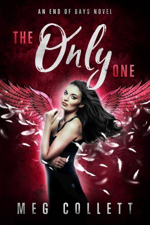 Cover of the book The Only One by J. Kirsch