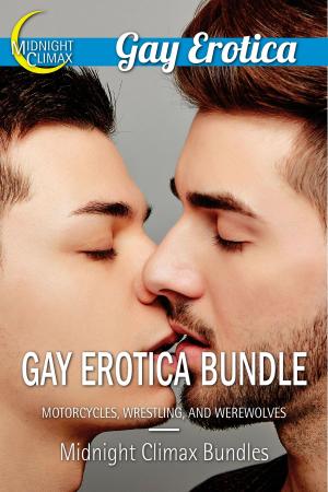 Cover of Gay Erotica Bundle (Motorcycles, Wrestling, and Werewolves)