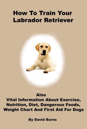 Cover of How To Train Your Labrador Retriever