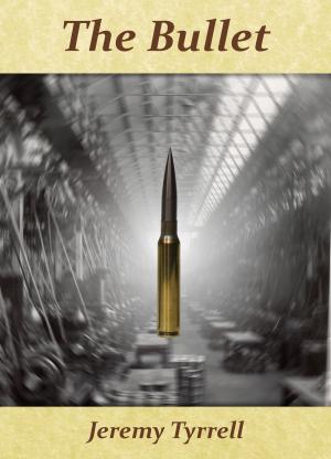 Cover of the book The Bullet by Ravyn Wilde