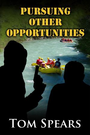 Book cover of Pursuing Other Opportunities