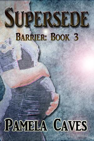 bigCover of the book Barrier: Supersede by 