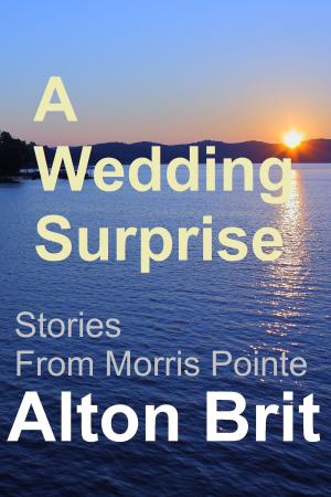 Book cover of A Wedding Surprise