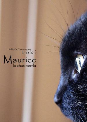 Book cover of Maurice, le chat perdu