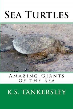 Cover of the book Sea Turtles: Amazing Giants of the Sea by Jack Nelson