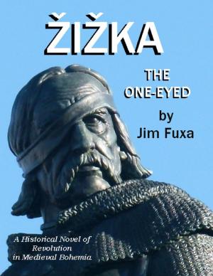 Cover of the book Zizka, the One Eyed by Mad Olsen