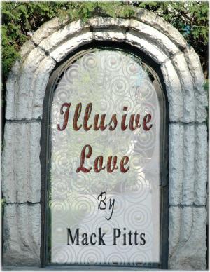 Cover of the book Illusive Love Ebook by Dirk Jan Barreveld, editor