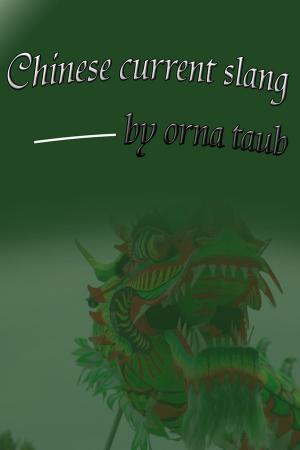 Book cover of Chinese Current Slang