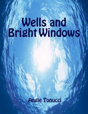 Cover of the book Wells and Bright Windows by Richard T Rook