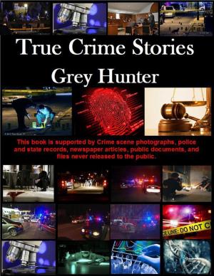 Cover of the book True Crime Stories by Alan Limer