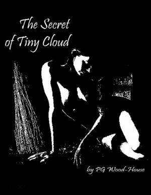 Cover of the book The Secret of Tiny Cloud by Jimmy Theroux