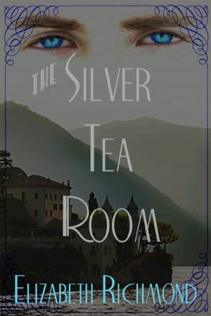 Cover of the book The Silver Tea Room by Alison Laura Goodman