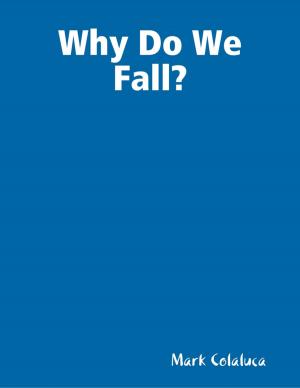Cover of the book Why Do We Fall? by Jerry Walter