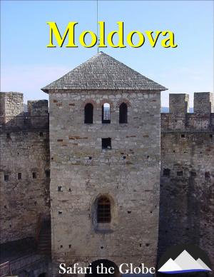 bigCover of the book Moldova by 