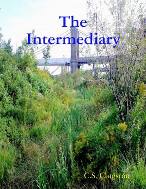 Book cover of The Intermediary