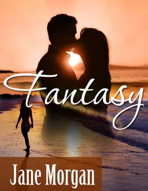 Book cover of Fantasy (Couple Erotica)