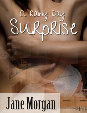 Book cover of A Rainy Day Surprise (Couple Erotica)