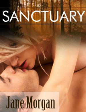 Book cover of Sanctuary (Couple Erotica)