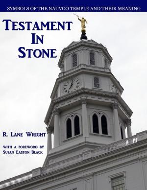 Cover of the book Testament In Stone by Sky Aldovino