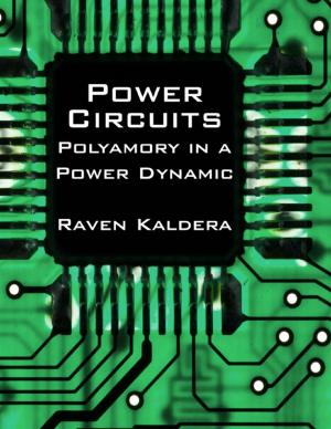 Cover of the book Power Circuits: Polyamory In a Power Dynamic by Roger Ewing Taylor