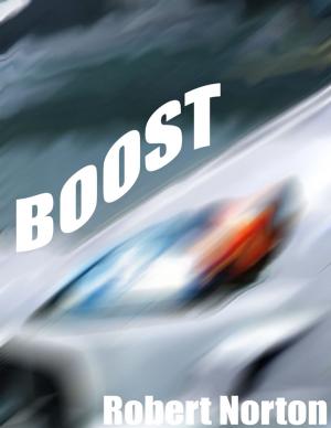 Cover of the book Boost by Virinia Downham