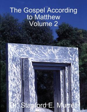 Cover of the book The Gospel According to Matthew Volume 2 by Jonathan Edward Feinstein