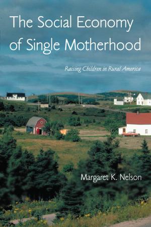 Cover of the book The Social Economy of Single Motherhood by Dahlia W. Zaidel