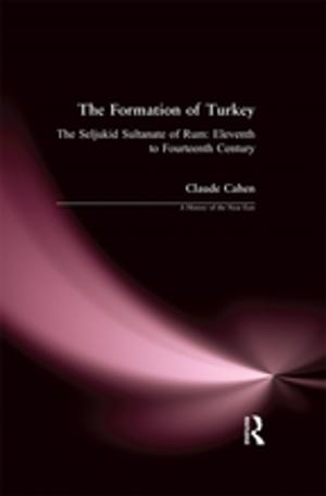 Cover of the book The Formation of Turkey by Onno Van Nijf, Fik Meijer