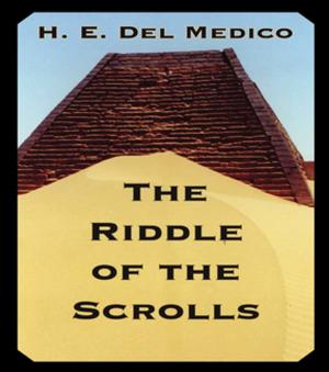 Cover of the book Riddle Of The Scrolls by Tim Unwin