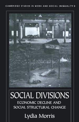Cover of the book Social Divisions by James Weinstein