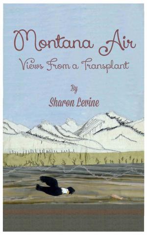 Cover of the book Montana Air Views From A Transplant by Shawn S Paulsen