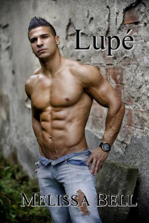 Cover of the book Lupe by Marliese Arold