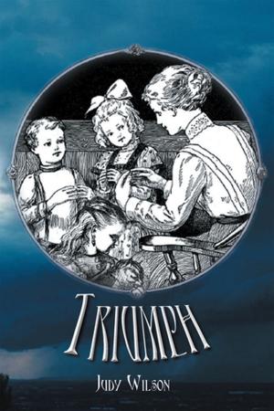 Cover of the book Triumph by S. E. Finken