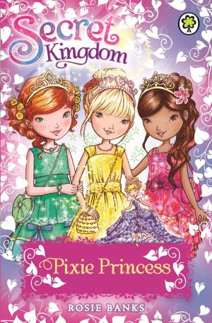 Book cover of Secret Kingdom: Pixie Princess