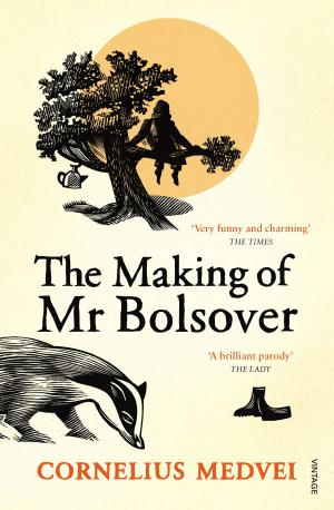Cover of the book The Making Of Mr Bolsover by Timothy Good